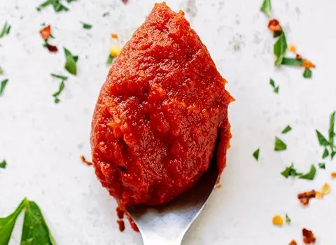 قیمت و خرید رب گوجه دبه ای قوچان + فروش ارزان