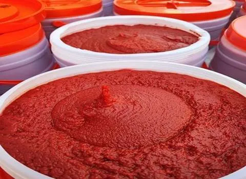 قیمت و خرید رب گوجه دبه ای قوچان + فروش ارزان